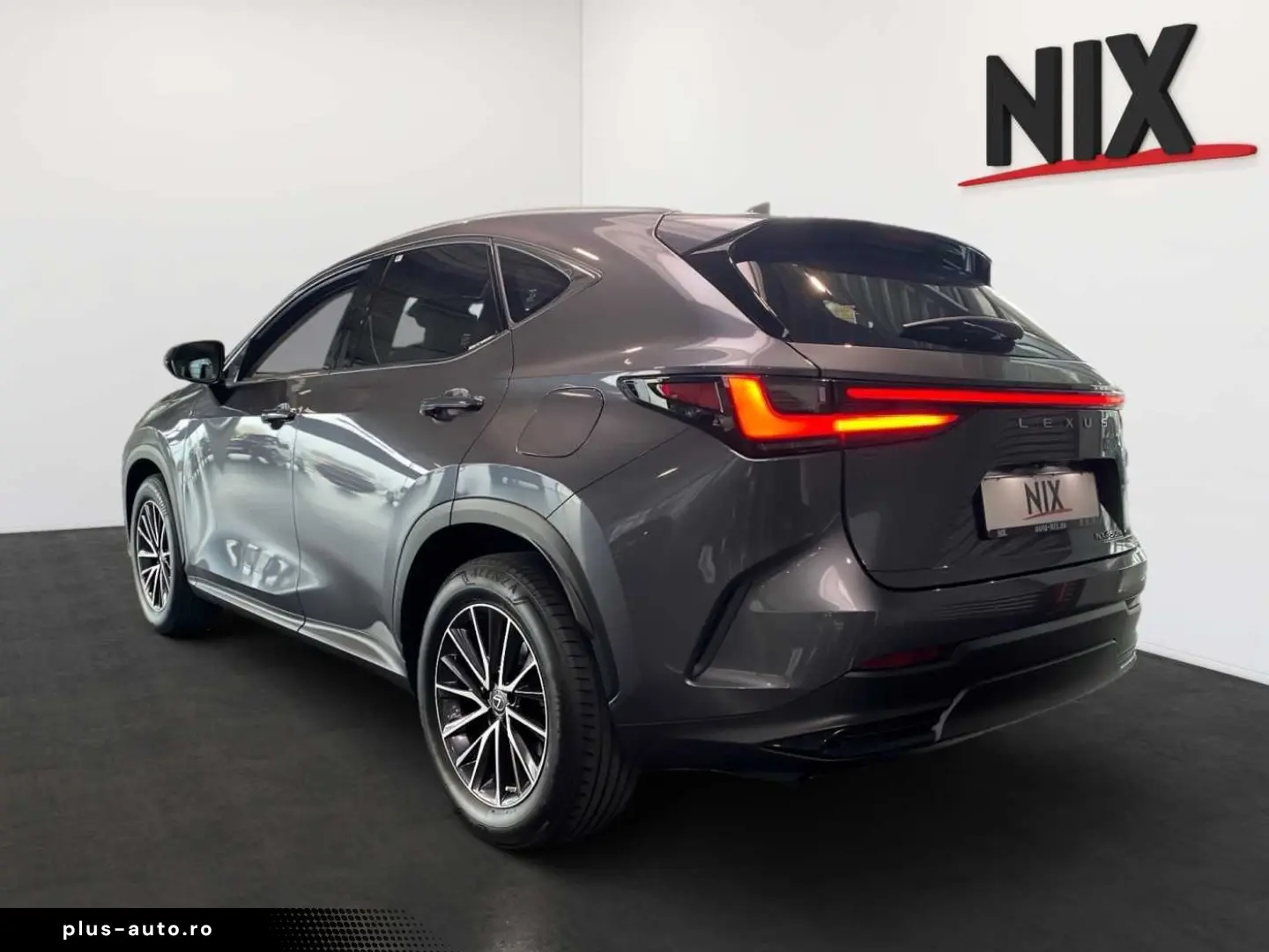 LEXUS NX 450h  E-FOUR Business