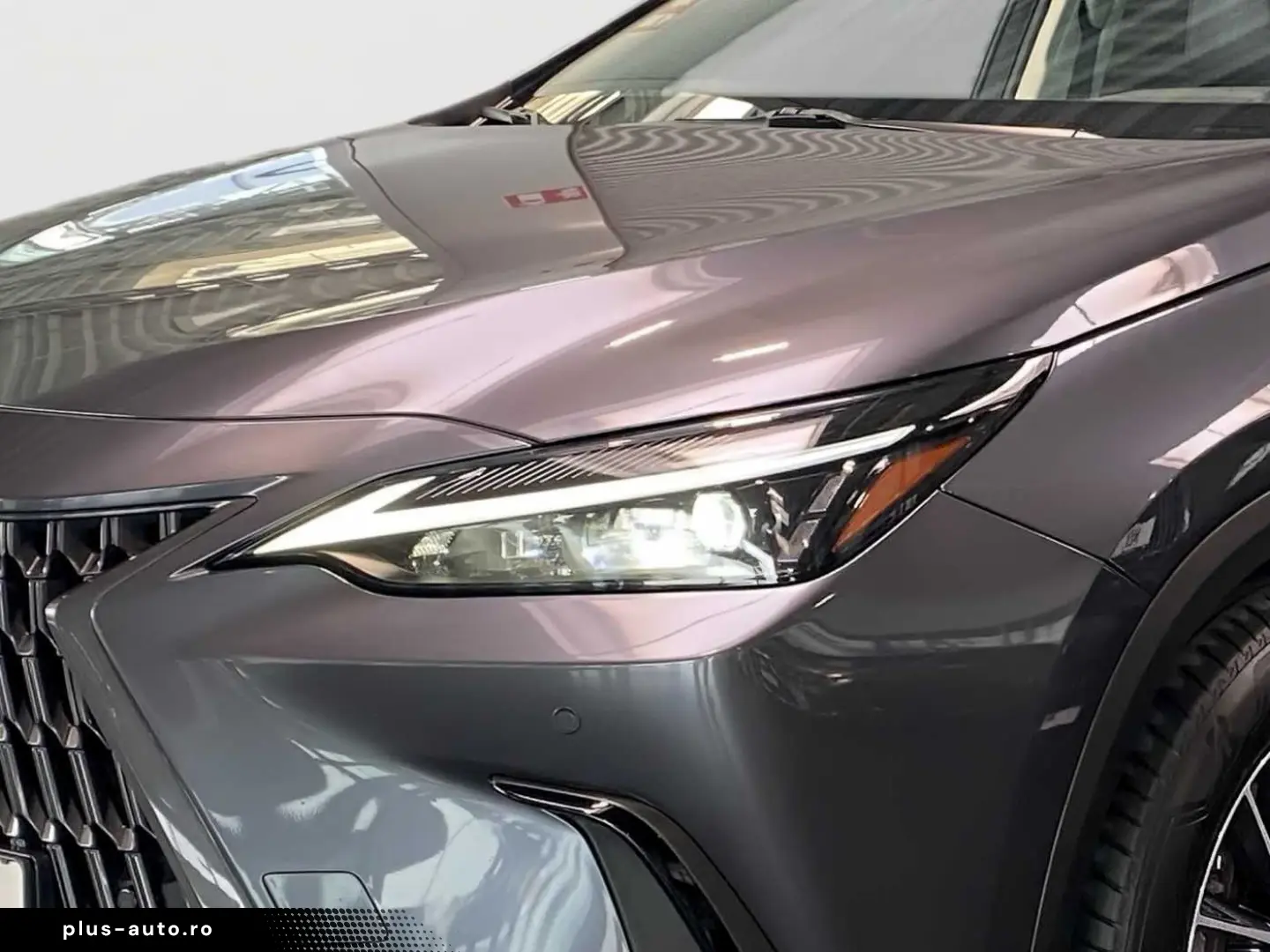 LEXUS NX 450h  E-FOUR Business