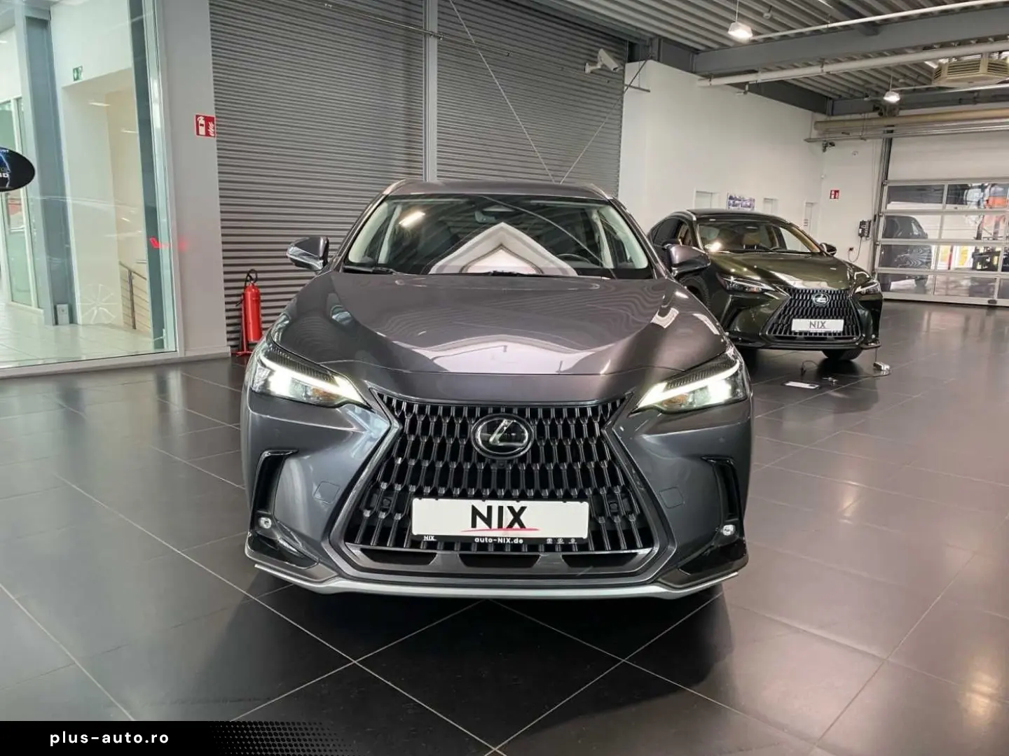 LEXUS NX 450h  E-FOUR Business