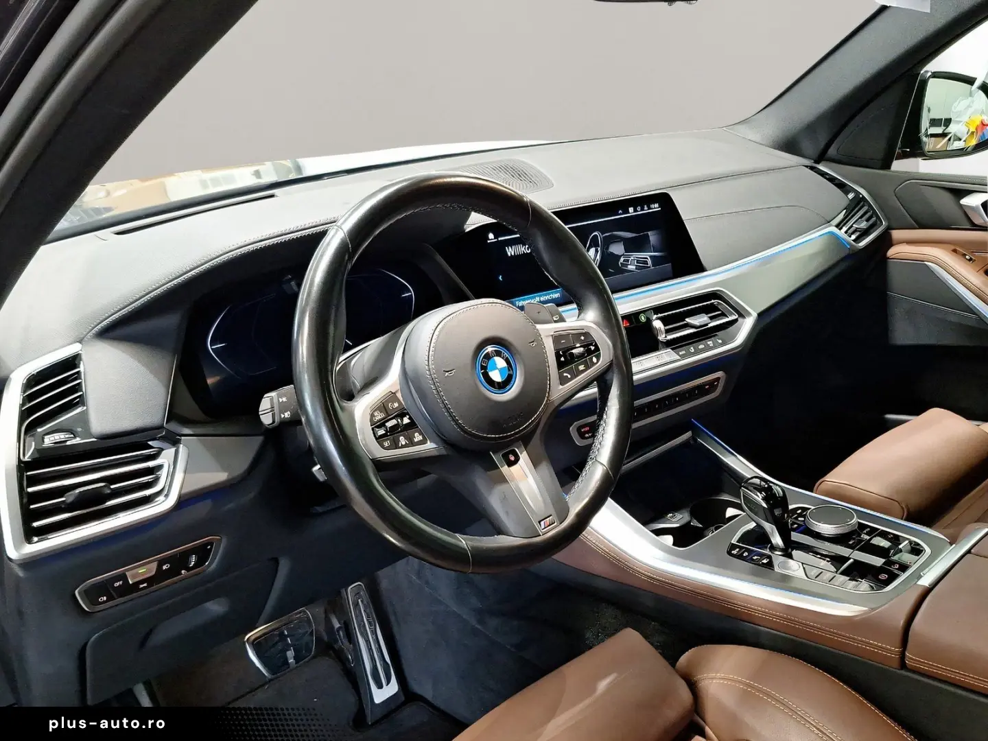 BMW X5 xDrive45e M Sport Driv.Assist.Prof Head-Up