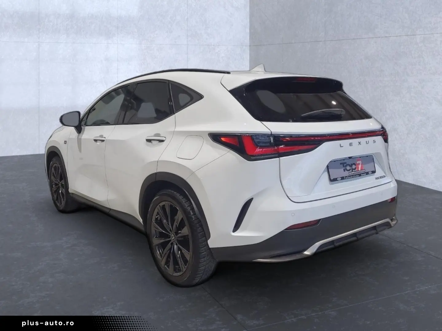 LEXUS NX 350 350 h E-Four 4x4