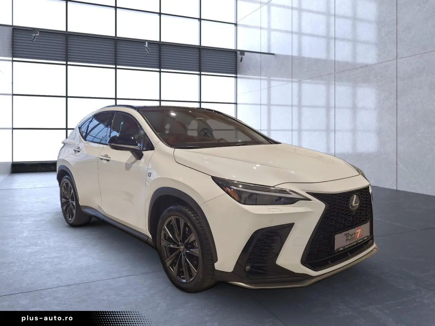 LEXUS NX 350 350 h E-Four 4x4