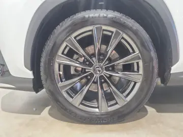 LEXUS NX 350 350 h E-Four 4x4