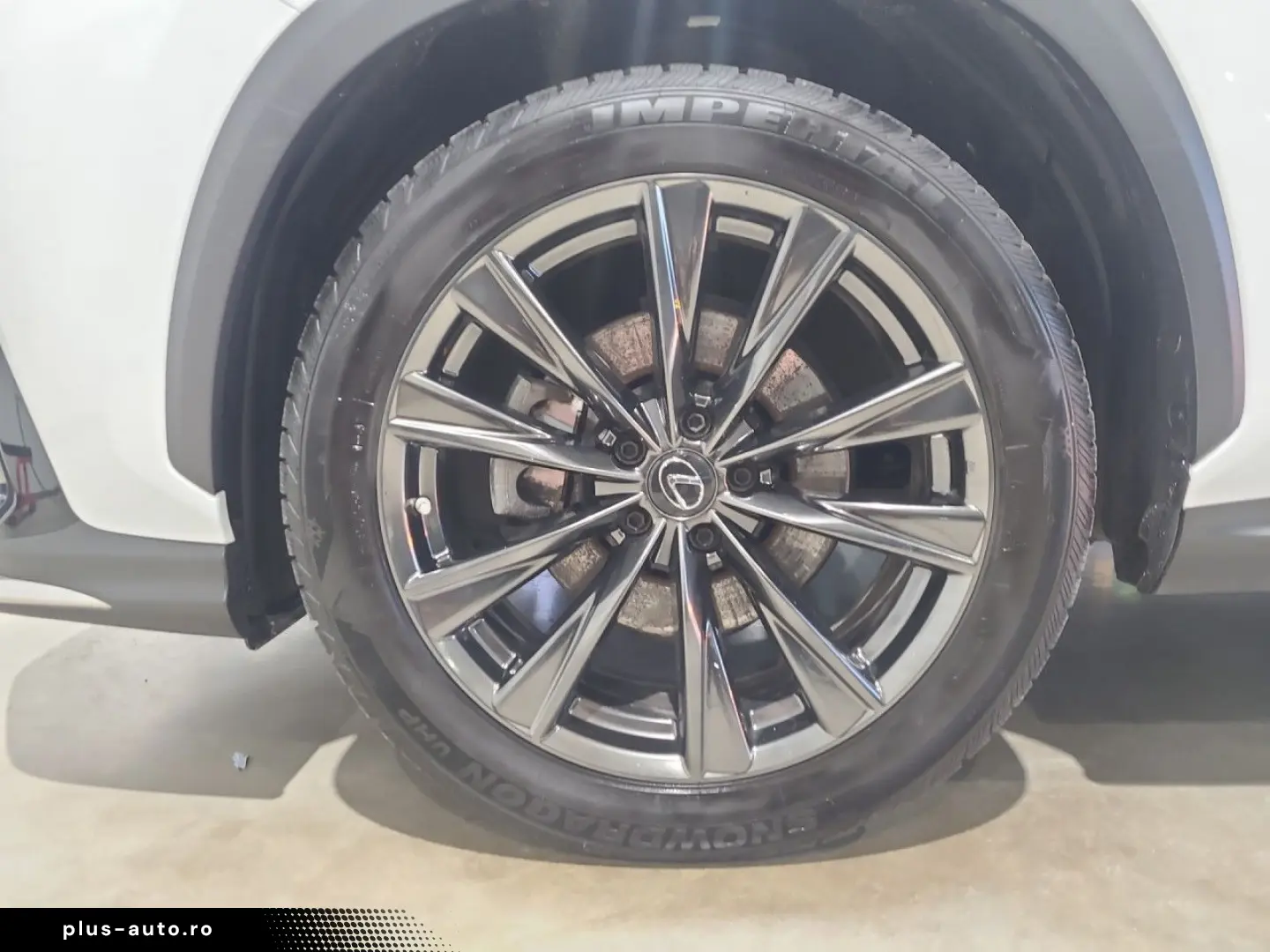 LEXUS NX 350 350 h E-Four 4x4