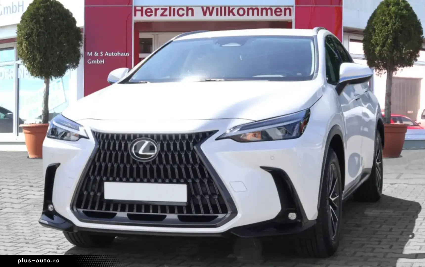 LEXUS NX 450h  2.5 E-Four