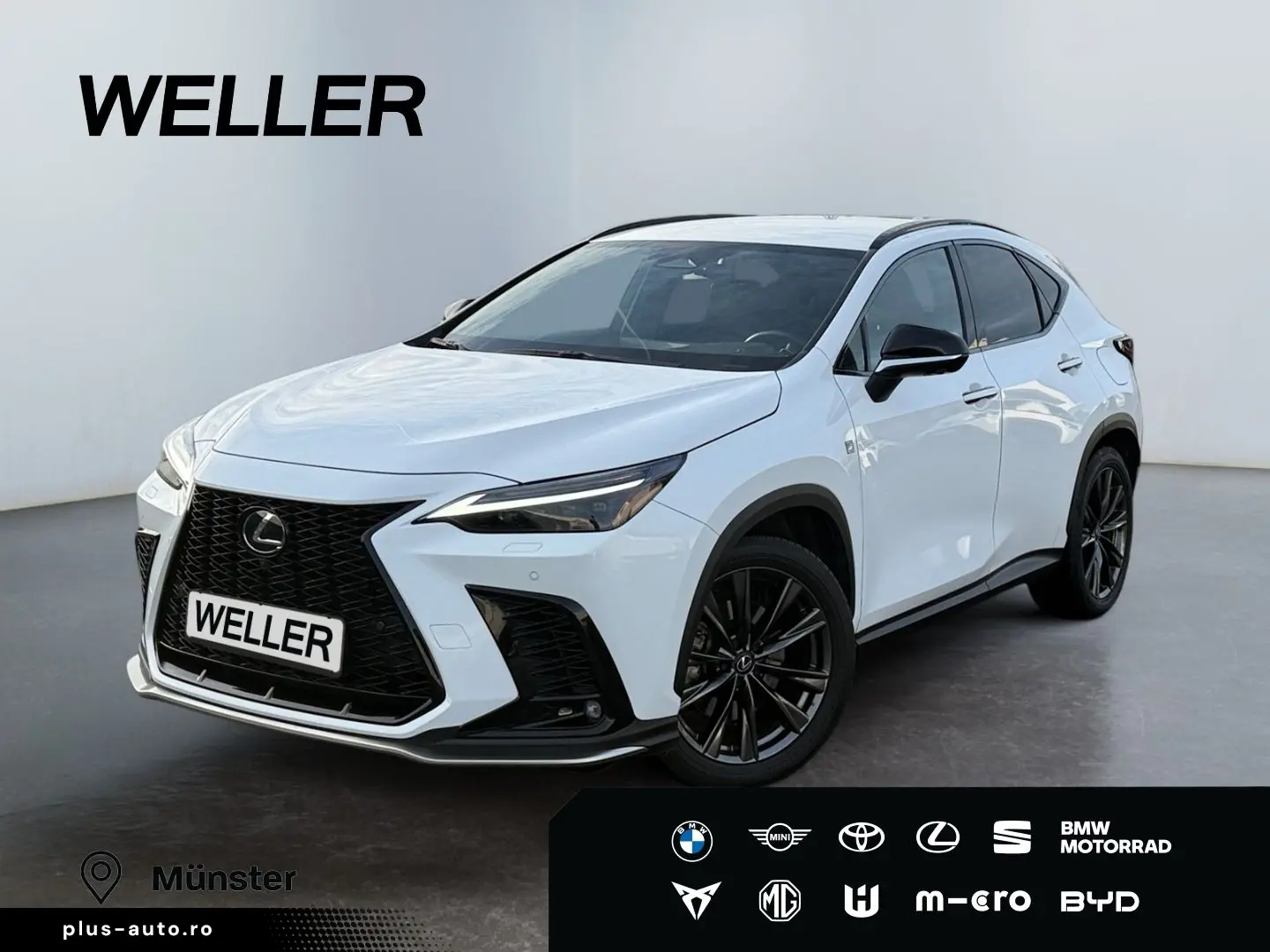 LEXUS NX 450h  E-FOUR F SPORT