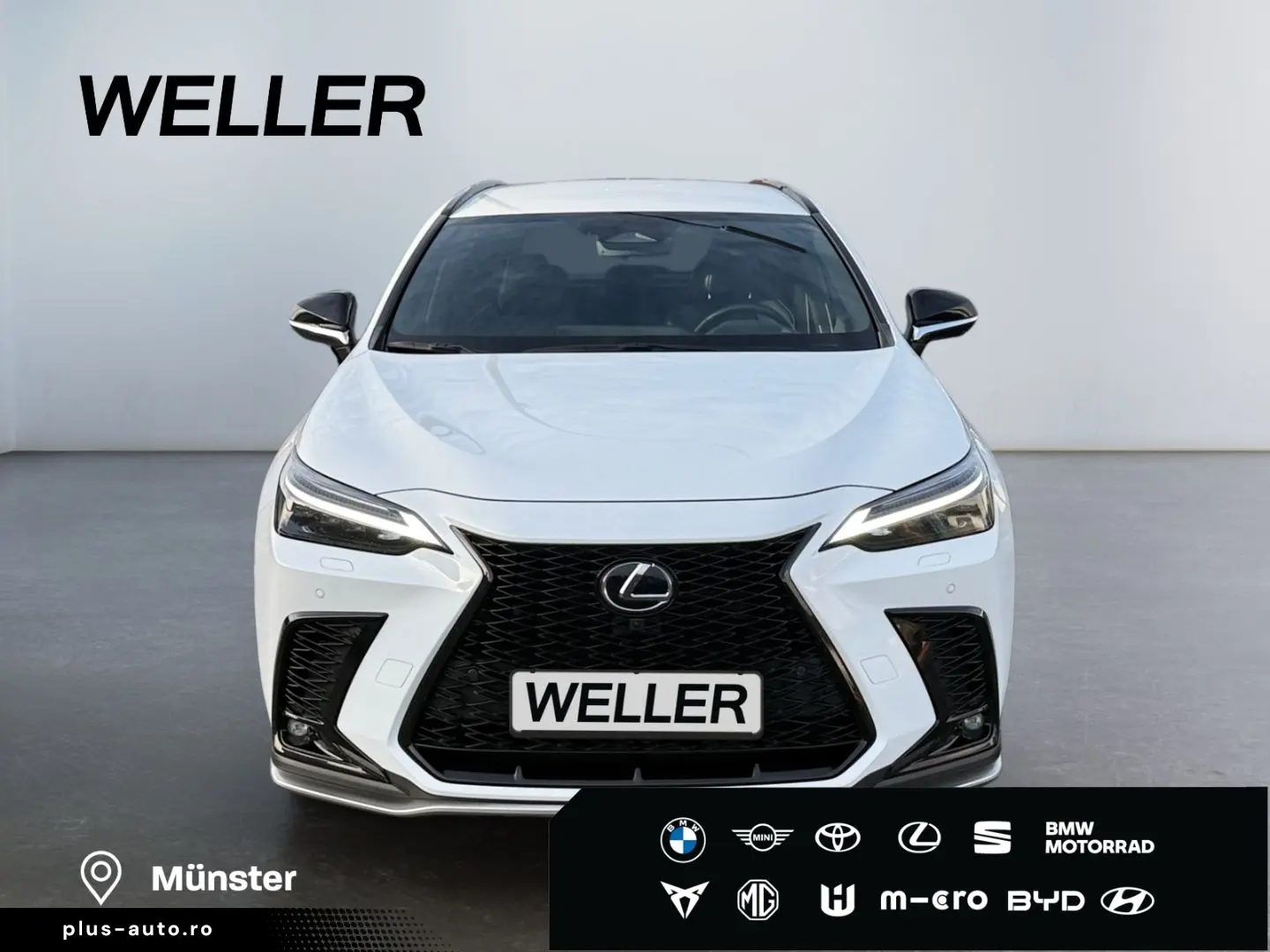 LEXUS NX 450h  E-FOUR F SPORT