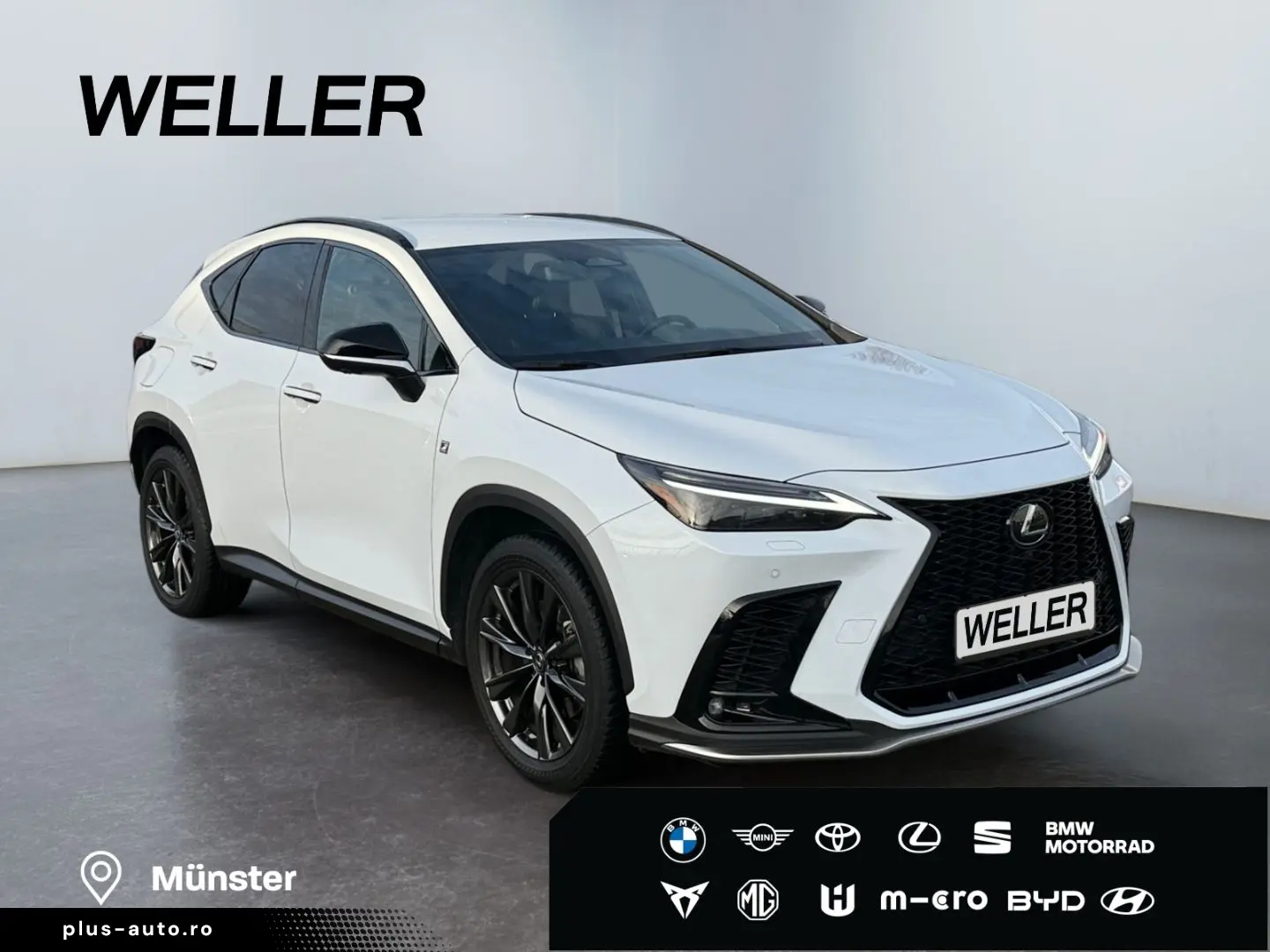 LEXUS NX 450h  E-FOUR F SPORT