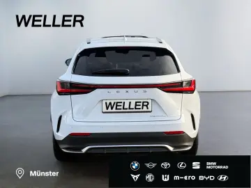 LEXUS NX 450h  E-FOUR F SPORT