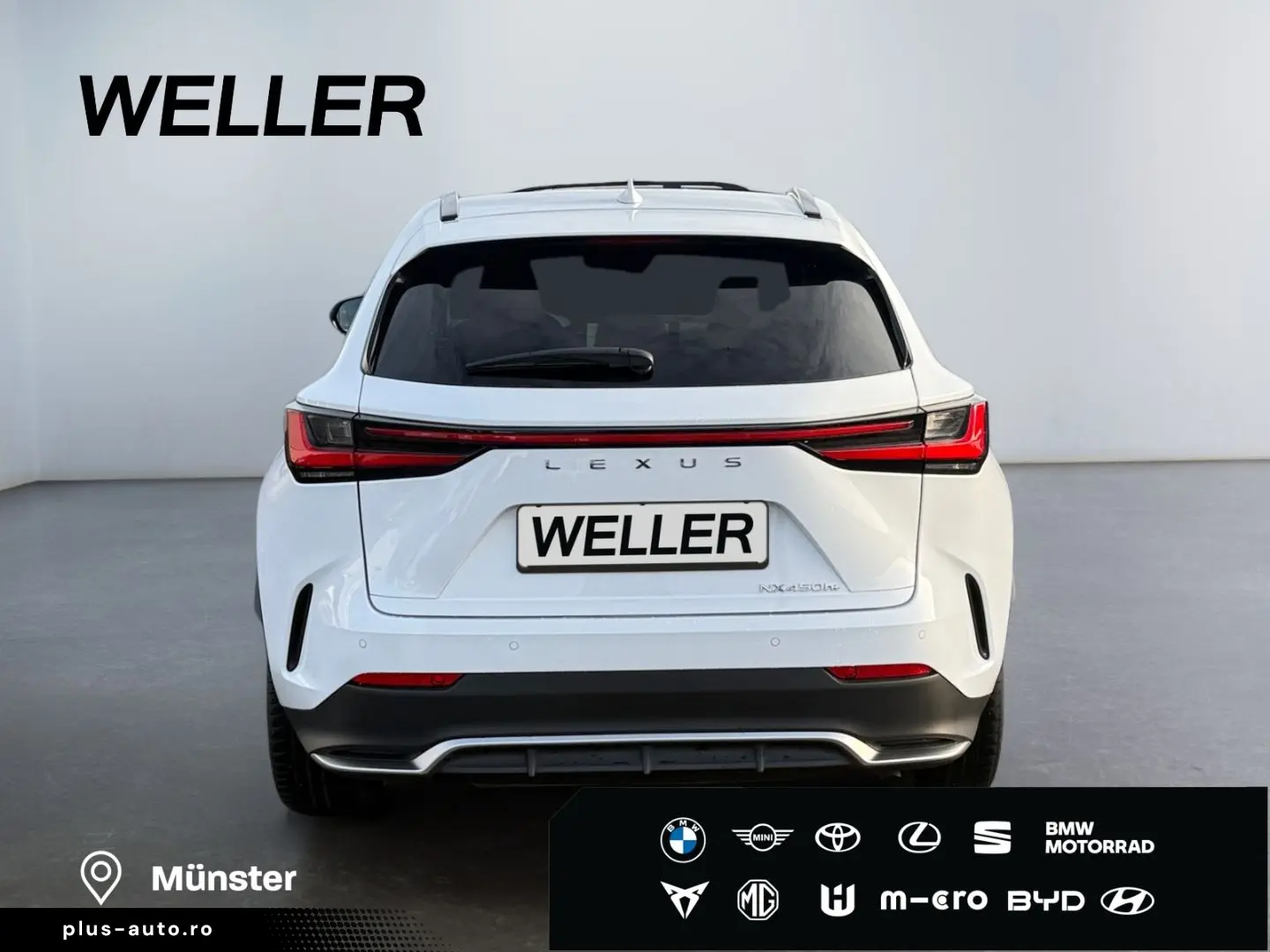 LEXUS NX 450h  E-FOUR F SPORT