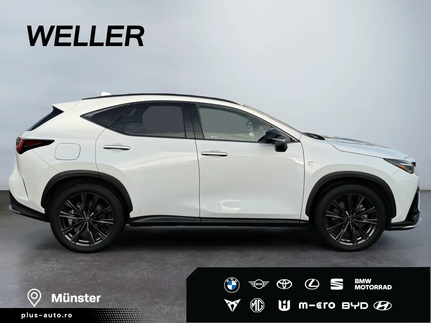 LEXUS NX 450h  E-FOUR F SPORT