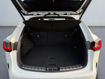 LEXUS NX 450h  E-FOUR F SPORT
