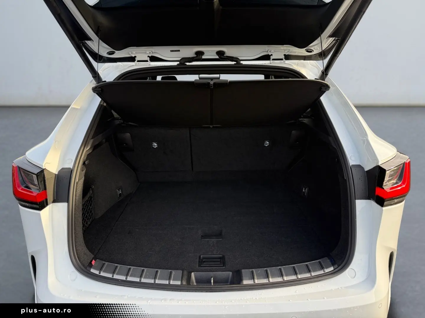 LEXUS NX 450h  E-FOUR F SPORT