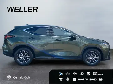 LEXUS NX 450h   Executive Line