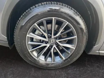 LEXUS NX 450h  E-FOUR Executive Line