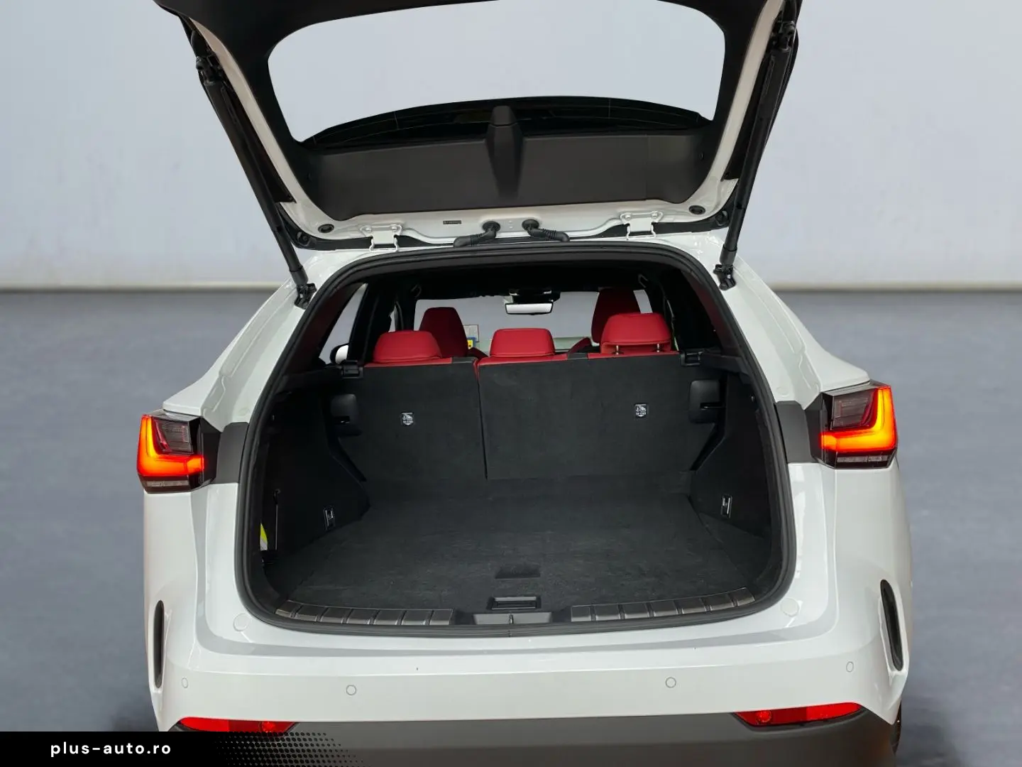 LEXUS NX 450h  F SPORT