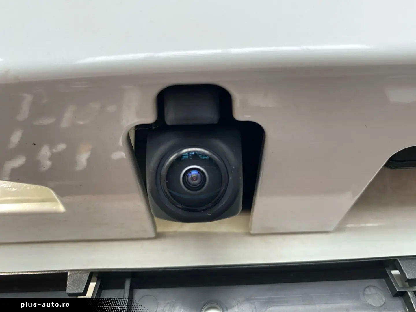 LEXUS NX 450h  F SPORT