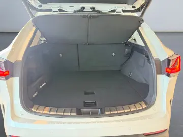 LEXUS NX 450h   Executive Line