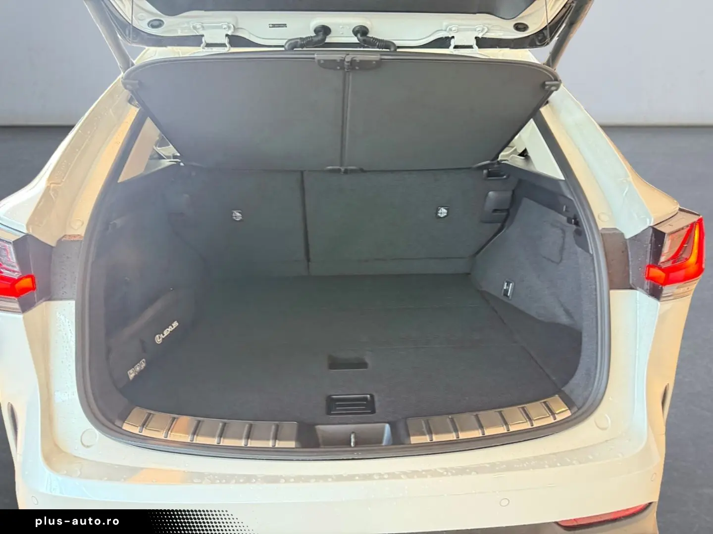 LEXUS NX 450h   Executive Line