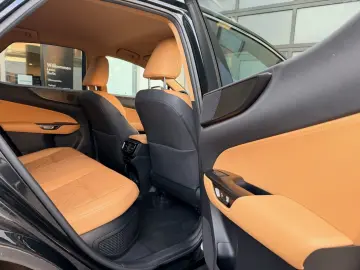 LEXUS NX 450h Luxury Line