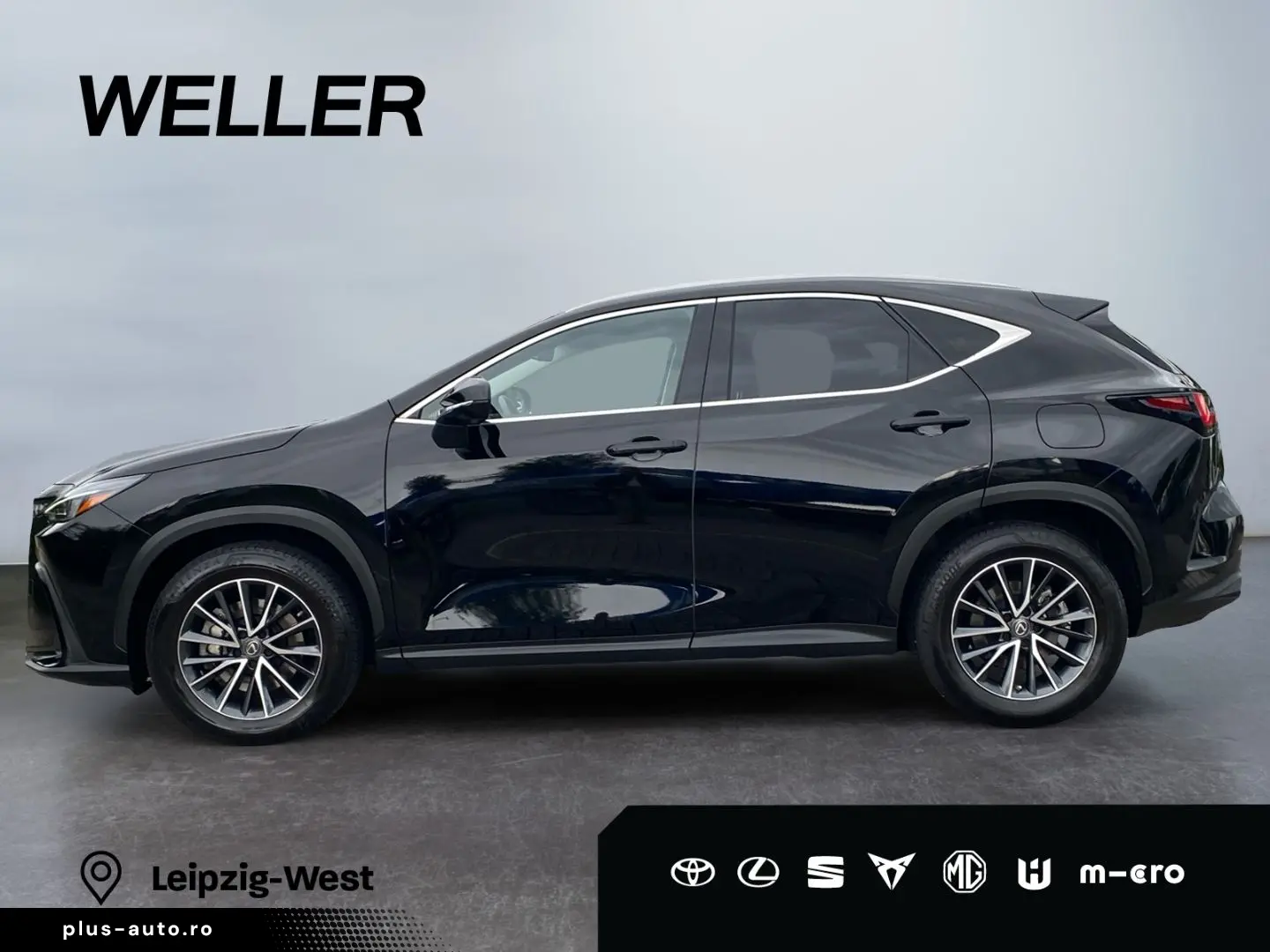 LEXUS NX 450h  Business