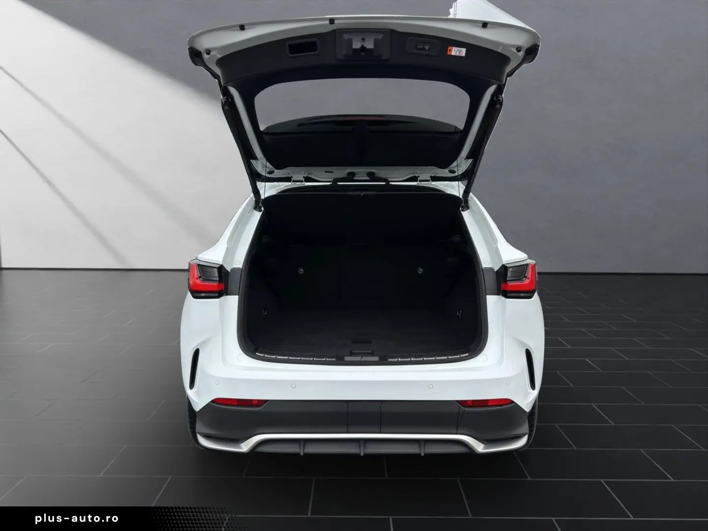 LEXUS NX 450h 450 h  F SPORT 4x4