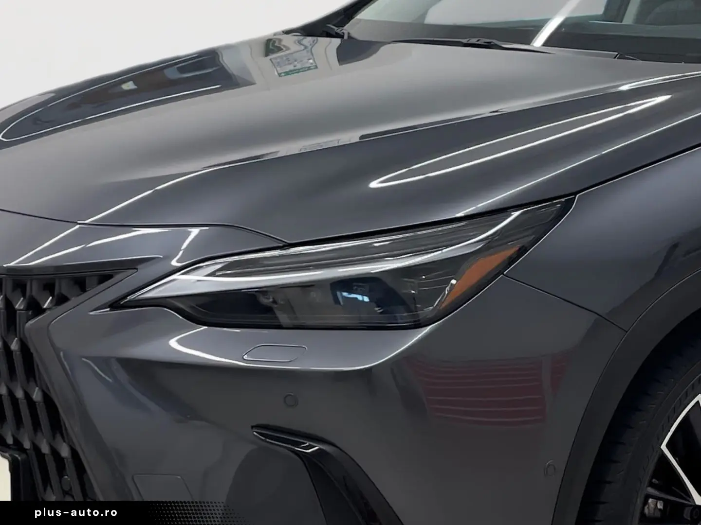 LEXUS NX 450h  Luxury Line