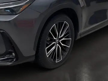 LEXUS NX 450h  Luxury Line