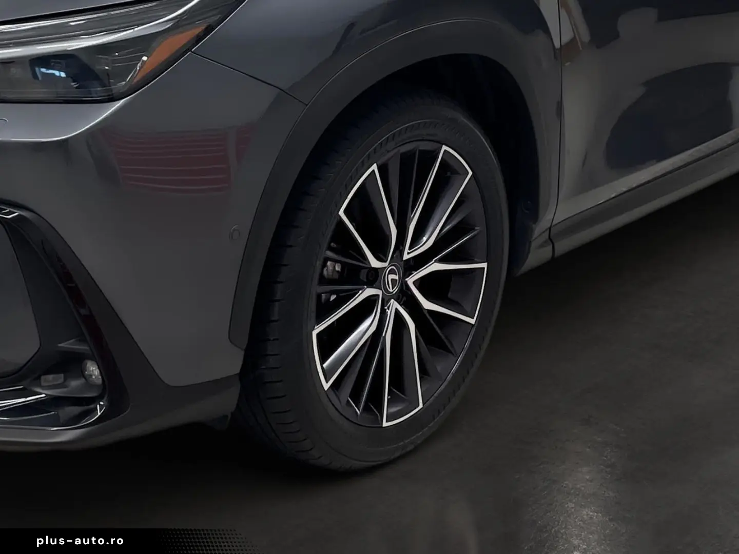 LEXUS NX 450h  Luxury Line