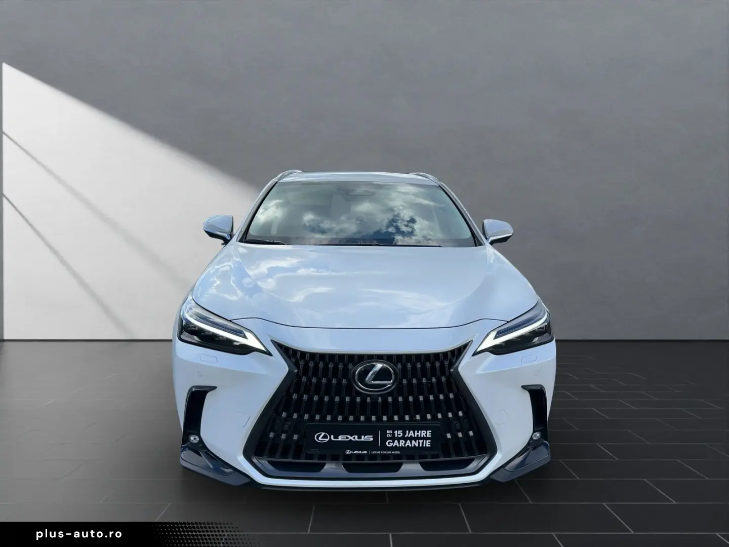 LEXUS NX 450h   LUXURY