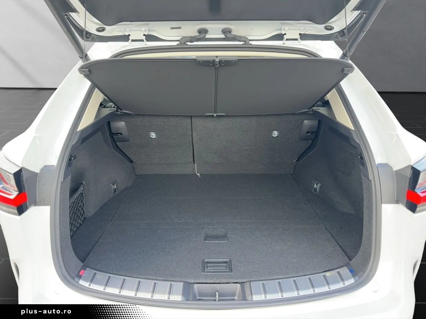 LEXUS NX 450h   LUXURY