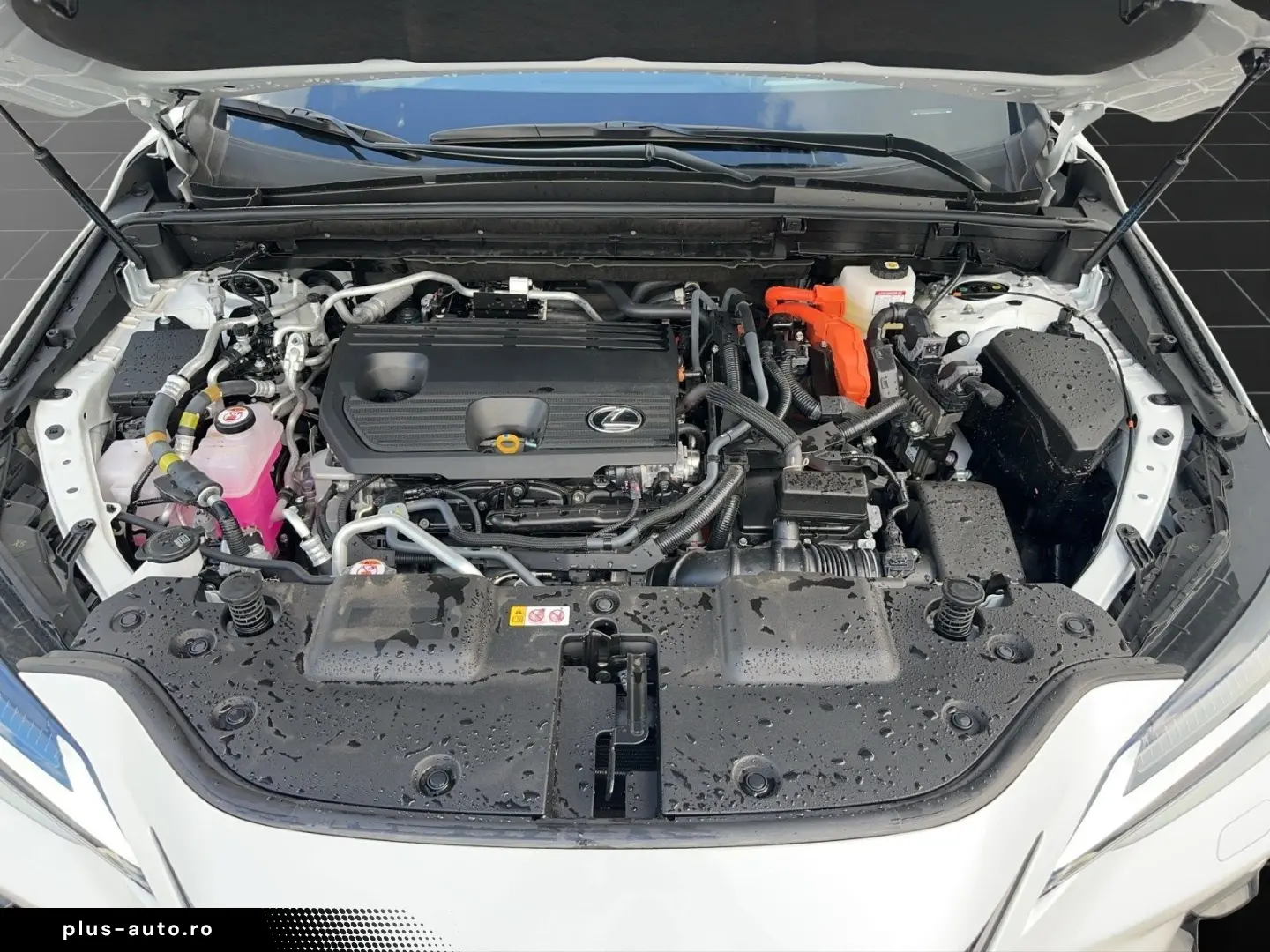 LEXUS NX 450h   LUXURY