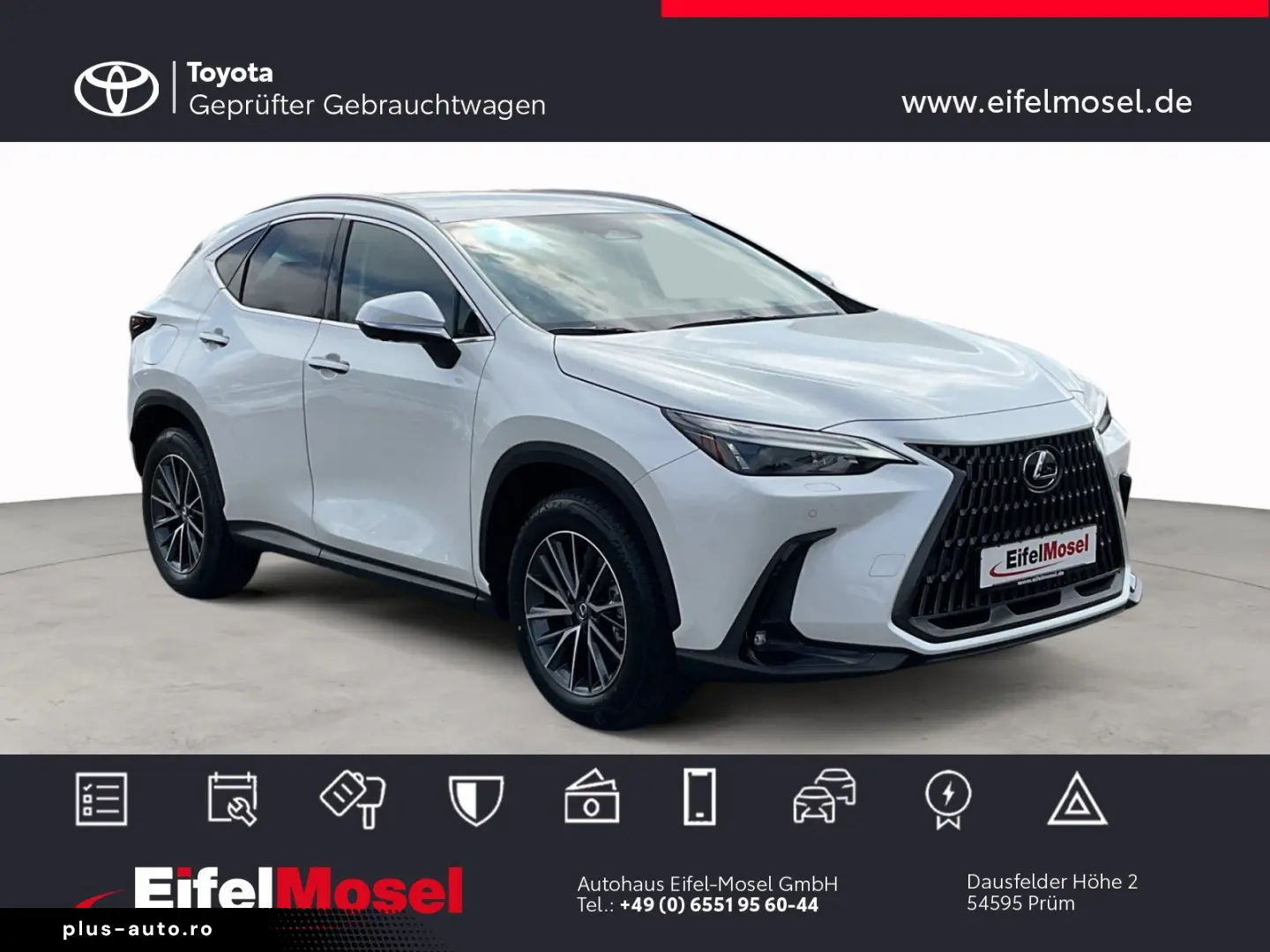 LEXUS NX450h  Executive