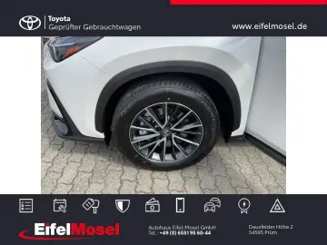 LEXUS NX450h  Executive