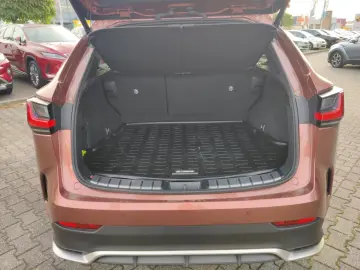 LEXUS NX 450h  4x4 F Sport