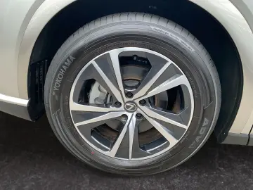 LEXUS RX 350 h Business Line