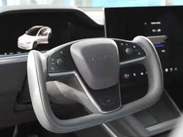 TESLA Model S Plaid  21 Zoll   WR MwST. ausw.