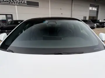 TESLA MODEL S PLAID   CARBON   21  ARACHNID   TOW