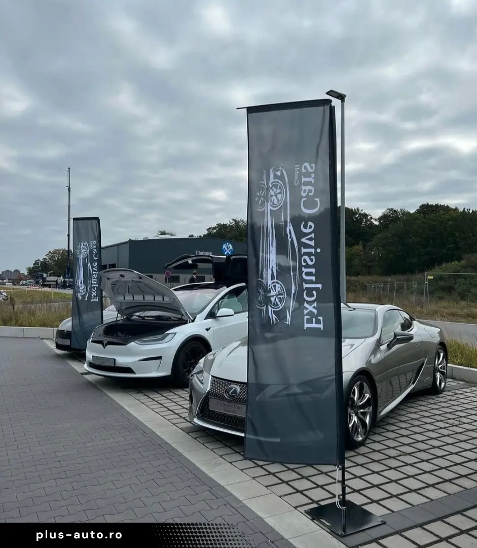 TESLA MODEL S PLAID   CARBON   21  ARACHNID   TOW