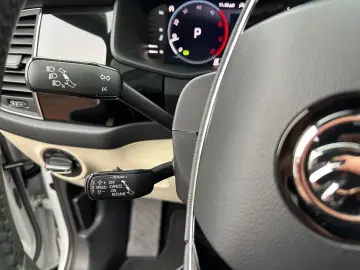 SKODA Kodiaq 2.0 TDI DSG 4x4 L&K STANDH PANO AHK 360