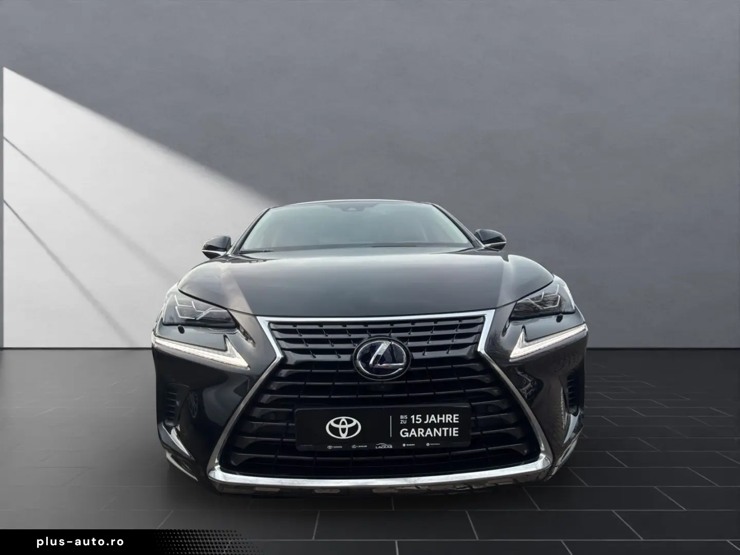 LEXUS NX 300 h E-Four Luxury  HUD PANO 360