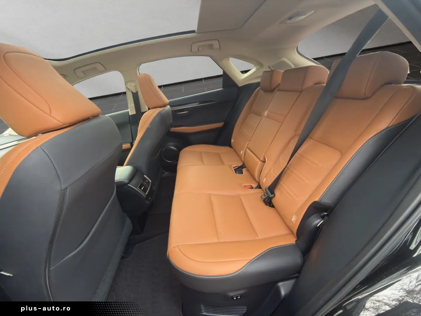 LEXUS NX 300 h E-Four Luxury  HUD PANO 360