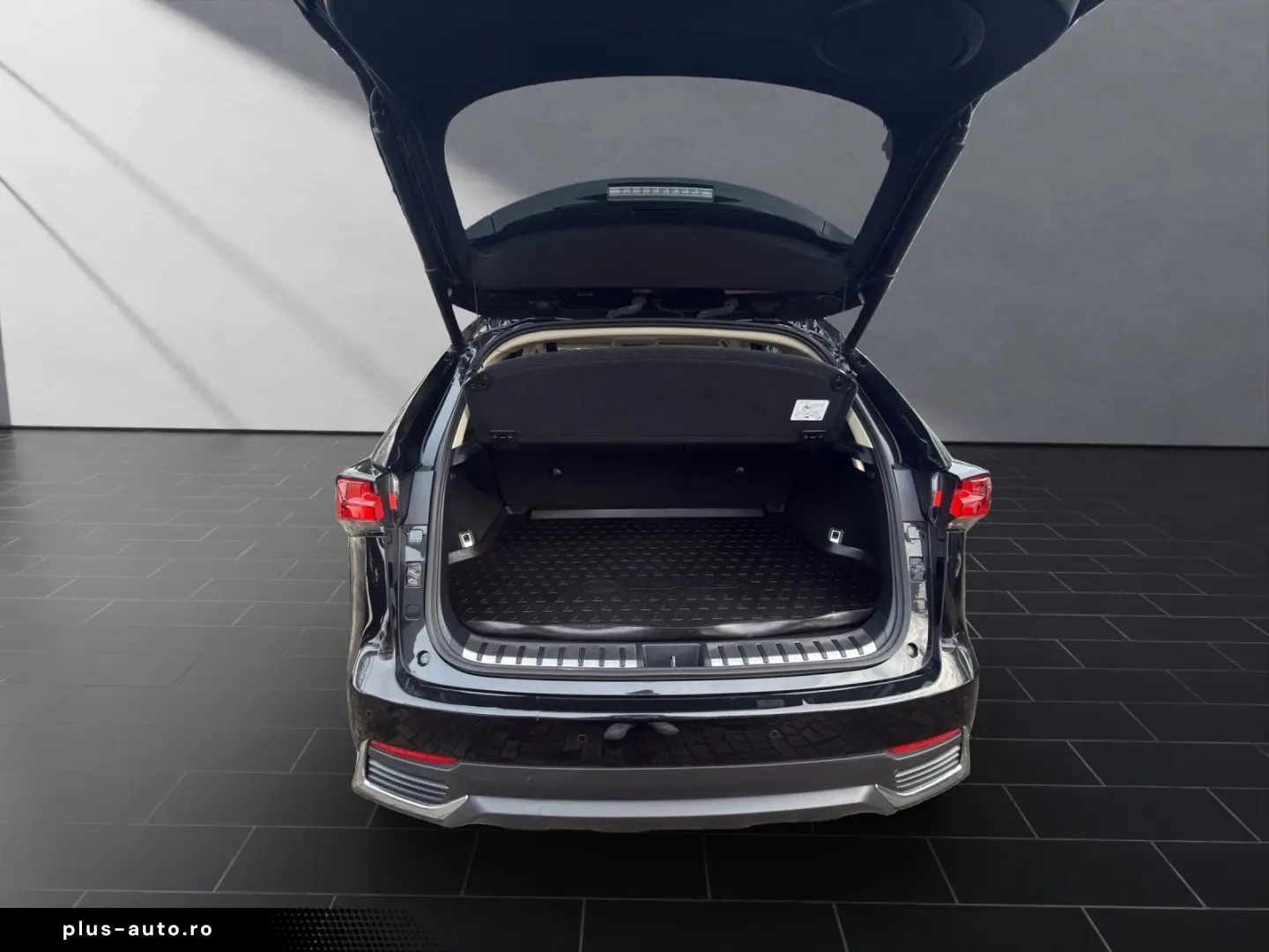 LEXUS NX 300 h E-Four Luxury  HUD PANO 360