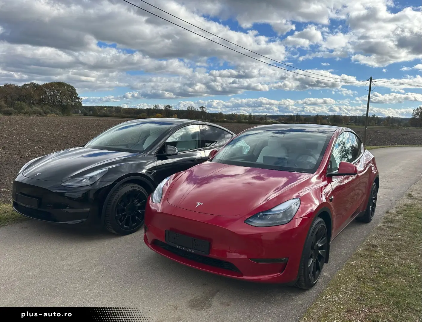 TESLA Model Y LR AWD Red Innen
