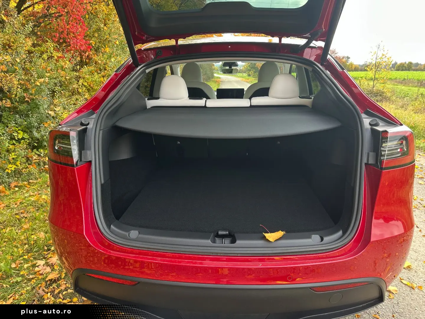 TESLA Model Y LR AWD Red Innen