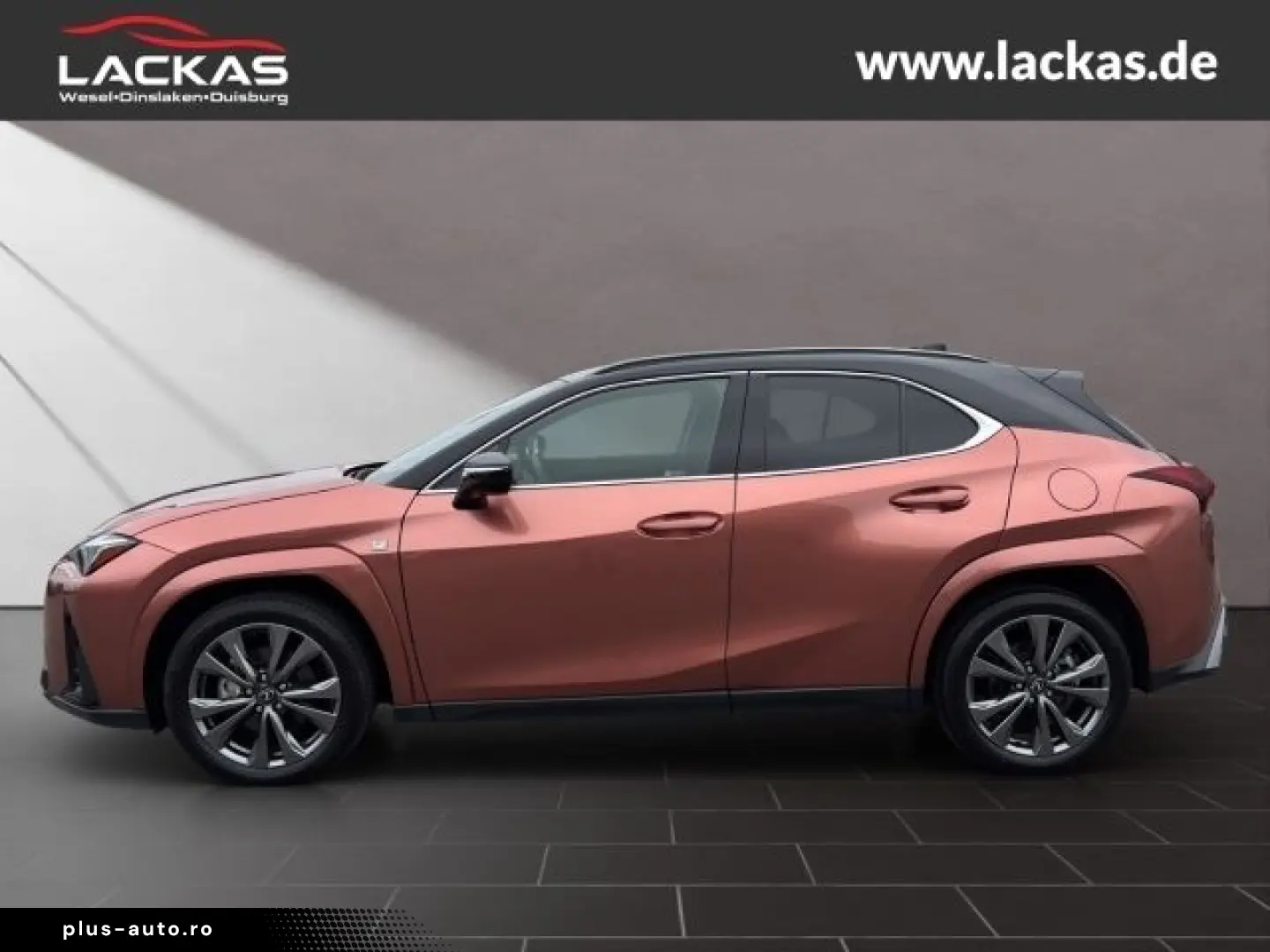 LEXUS UX 300h F-Sport Navi LED ACC Apple CarPlay