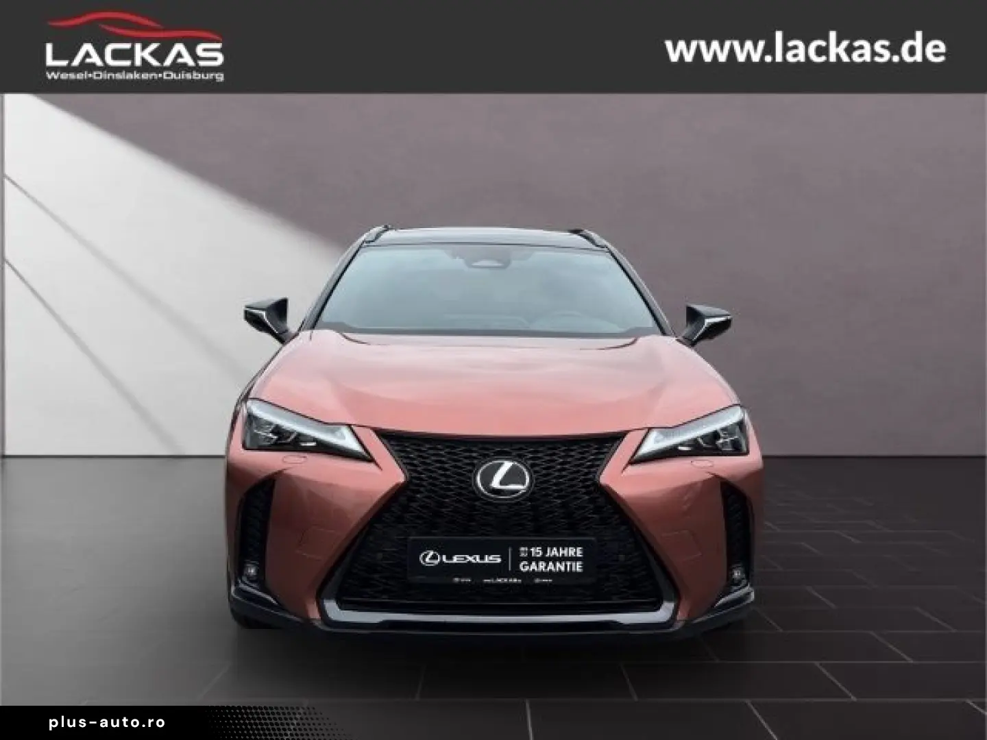 LEXUS UX 300h F-Sport Navi LED ACC Apple CarPlay