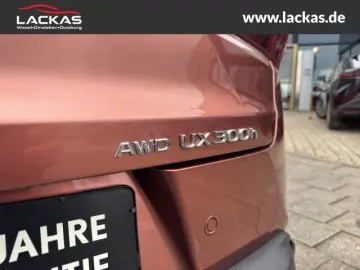 LEXUS UX 300h F-Sport Navi LED ACC Apple CarPlay