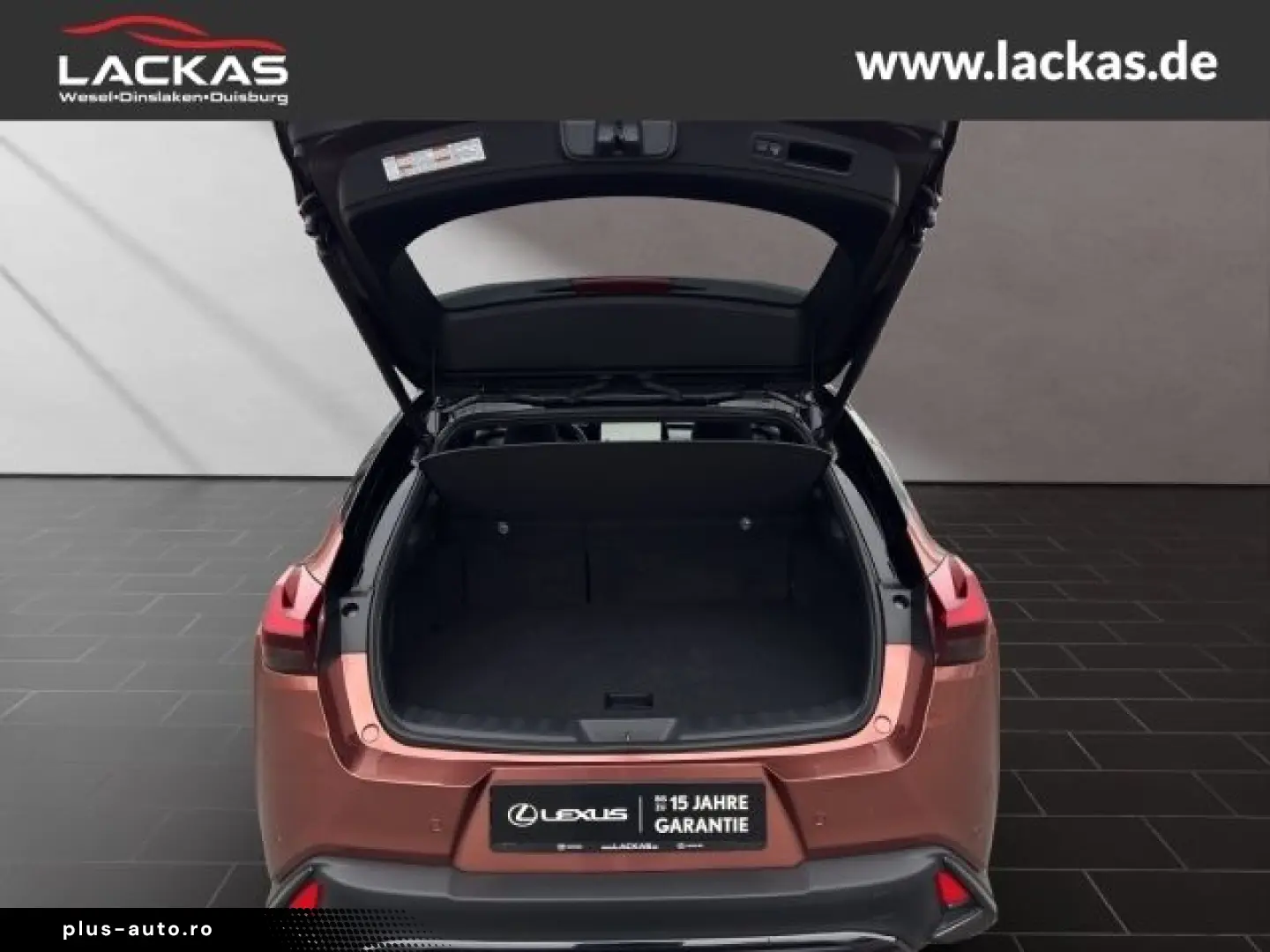 LEXUS UX 300h F-Sport Navi LED ACC Apple CarPlay