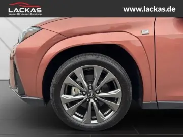 LEXUS UX 300h F-Sport Navi LED ACC Apple CarPlay